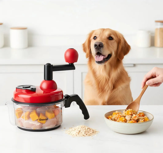 Pet Owners Must Try! Chicken & Pumpkin Energy Meal for All-Age Dogs