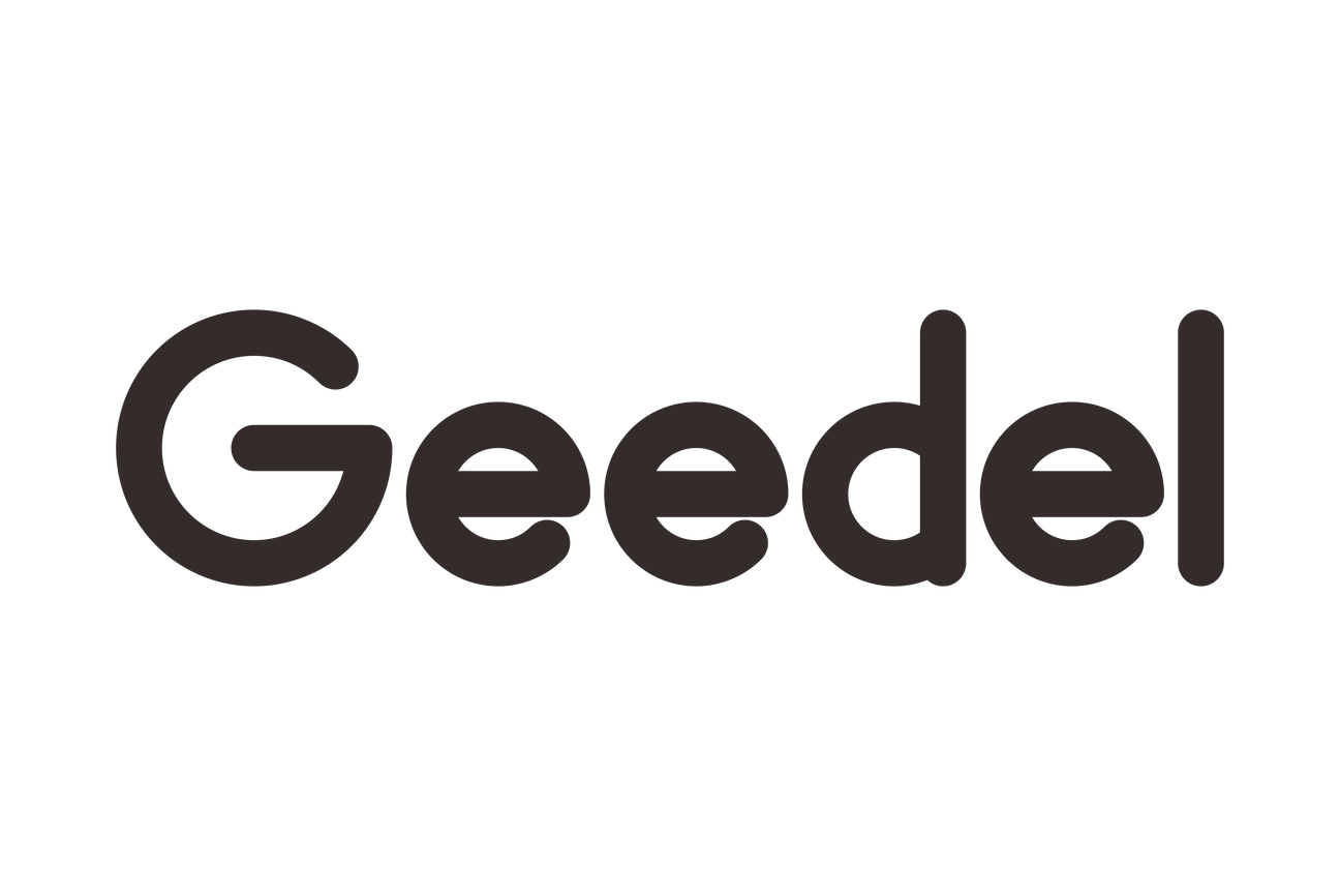 geedel kitchen gadgets